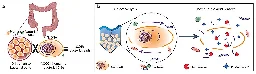 A new method for assessing the microbiome of the human gut