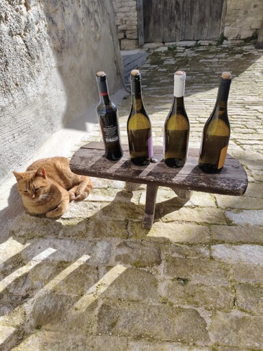 Welcome stranger. please choose your favorite beverage!