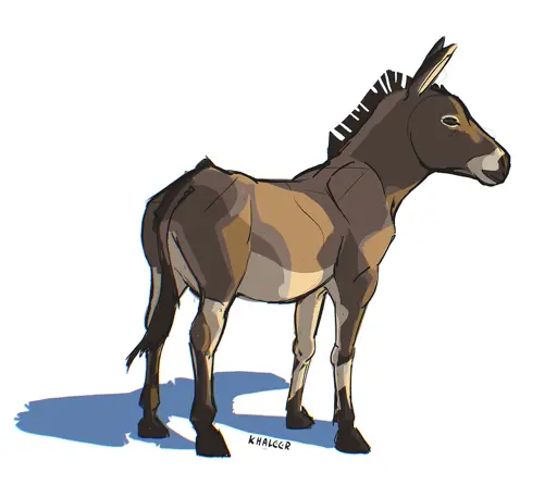 An image of donkey.
