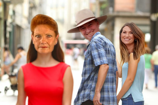 AusPol, Australia, Politics, barnaby joyce, affair, pauline hanson, one nation, nationals, cheater