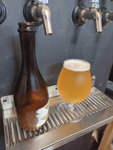 A tulip glass full of yellow beer stands on a kegerator drip tray next to an empty bottle. 