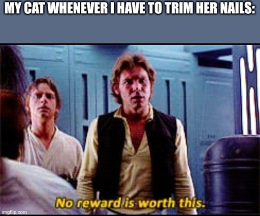 Han Solo noting "no reward is worth this"